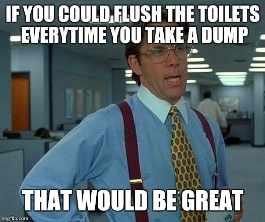 That Would Be Great |  IF YOU COULD FLUSH THE TOILETS EVERYTIME YOU TAKE A DUMP; THAT WOULD BE GREAT | image tagged in memes,that would be great | made w/ Imgflip meme maker