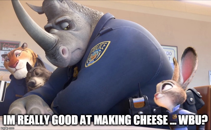 MAKING CHEESE | IM REALLY GOOD AT MAKING CHEESE ... WBU? | image tagged in cheese,zootopia,rhino,tiger,dog,rabbit | made w/ Imgflip meme maker