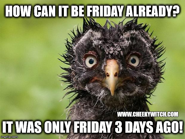 Friday already! | HOW CAN IT BE FRIDAY ALREADY? WWW.CHEEKYWITCH.COM; IT WAS ONLY FRIDAY 3 DAYS AGO! | image tagged in friday,it's friday | made w/ Imgflip meme maker