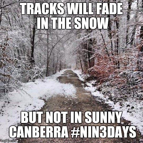 TRACKS WILL FADE IN THE SNOW; BUT NOT IN SUNNY CANBERRA #NIN3DAYS | image tagged in larry | made w/ Imgflip meme maker
