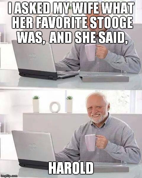 Hide the Pain Harold | I ASKED MY WIFE WHAT HER FAVORITE STOOGE WAS,  AND SHE SAID, HAROLD | image tagged in memes,hide the pain harold | made w/ Imgflip meme maker
