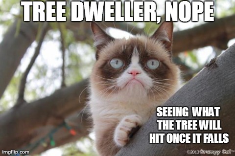 TREE DWELLER, NOPE SEEING  WHAT THE TREE WILL HIT ONCE IT FALLS | image tagged in tree_tard | made w/ Imgflip meme maker