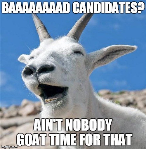 Laughing Goat Meme | BAAAAAAAAD CANDIDATES? AIN'T NOBODY GOAT TIME FOR THAT | image tagged in memes,laughing goat | made w/ Imgflip meme maker