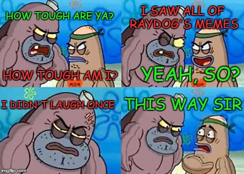 Raydog's viewer  | I SAW ALL OF RAYDOG'S MEMES; HOW TOUGH ARE YA? HOW TOUGH AM I? YEAH, SO? I DIDN'T LAUGH ONCE; THIS WAY SIR | image tagged in memes,how tough are you | made w/ Imgflip meme maker