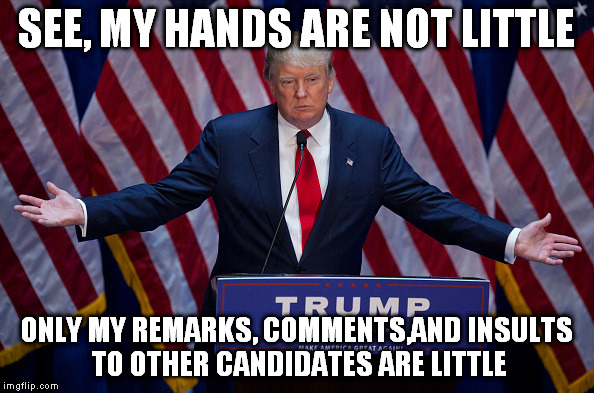 Little hands?  Large ego. | SEE, MY HANDS ARE NOT LITTLE; ONLY MY REMARKS, COMMENTS,AND INSULTS TO OTHER CANDIDATES ARE LITTLE | image tagged in donald trump | made w/ Imgflip meme maker