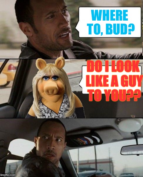 Miss Piggy Rocks | WHERE TO, BUD? DO I LOOK LIKE A GUY TO YOU?? | image tagged in miss piggy rocks,memes,the rock driving | made w/ Imgflip meme maker