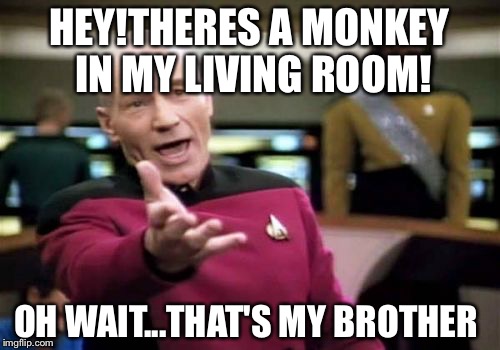 Monkey! | HEY!THERES A MONKEY IN MY LIVING ROOM! OH WAIT...THAT'S MY BROTHER | image tagged in memes,picard wtf | made w/ Imgflip meme maker