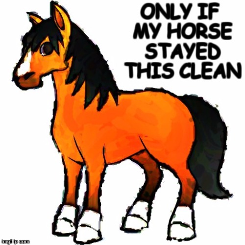 clean horse | ONLY IF MY HORSE STAYED THIS CLEAN | image tagged in memes,animals,my clean horse,horse meme | made w/ Imgflip meme maker