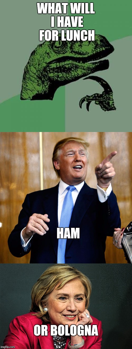 Some people have trouble making daily decisions | WHAT WILL I HAVE FOR LUNCH; HAM; OR BOLOGNA | image tagged in memes,donald trump,hilary clinton,president,lunch | made w/ Imgflip meme maker