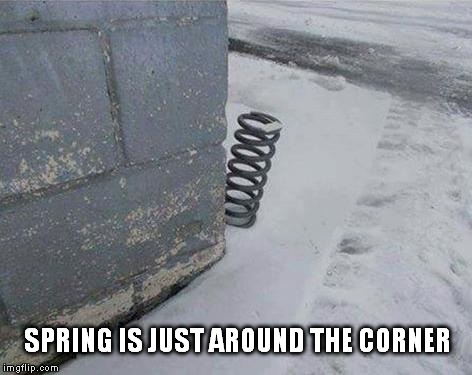 Spring Season | SPRING IS JUST AROUND THE CORNER | image tagged in spring,winter,seasons,cold,spring time | made w/ Imgflip meme maker