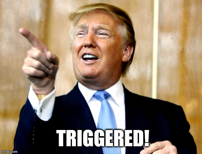 TRIGGERED! | image tagged in triggered trump | made w/ Imgflip meme maker