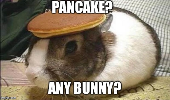 PANCAKE? ANY BUNNY? | made w/ Imgflip meme maker