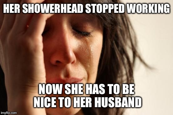 First World Problems Meme | HER SHOWERHEAD STOPPED WORKING NOW SHE HAS TO BE NICE TO HER HUSBAND | image tagged in memes,first world problems | made w/ Imgflip meme maker