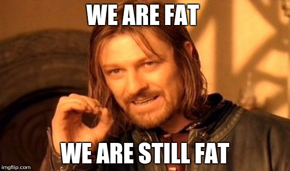 One Does Not Simply Meme | WE ARE FAT; WE ARE STILL FAT | image tagged in memes,one does not simply | made w/ Imgflip meme maker