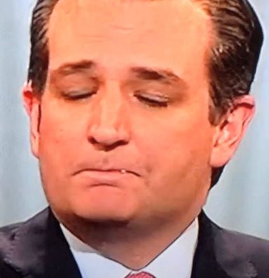 High Quality Cruz Booger Blank Meme Template