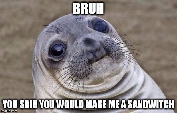 Awkward Moment Sealion | BRUH; YOU SAID YOU WOULD MAKE ME A SANDWITCH | image tagged in memes,awkward moment sealion | made w/ Imgflip meme maker