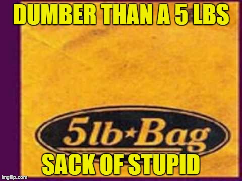 DUMBER THAN A 5 LBS; SACK OF STUPID | image tagged in 5 lb sack | made w/ Imgflip meme maker