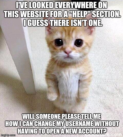 Cute Cat Meme | I'VE LOOKED EVERYWHERE ON THIS WEBSITE FOR A "HELP" SECTION.  I GUESS THERE ISN'T ONE. WILL SOMEONE PLEASE TELL ME HOW I CAN CHANGE MY USERNAME WITHOUT HAVING TO OPEN A NEW ACCOUNT? | image tagged in memes,cute cat | made w/ Imgflip meme maker