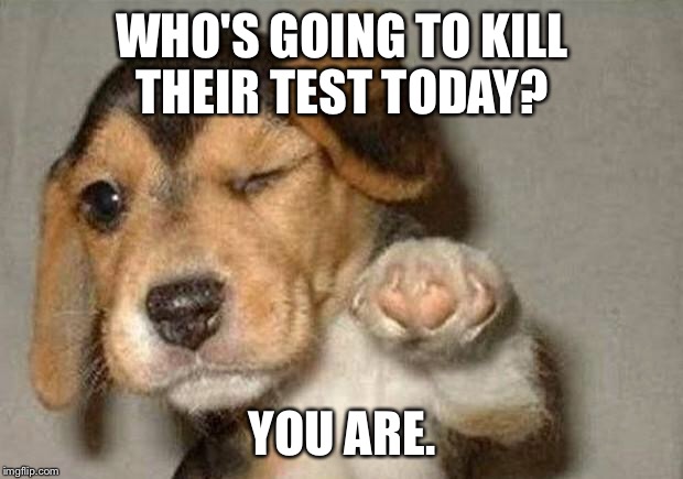 Winking Dog | WHO'S GOING TO KILL THEIR TEST TODAY? YOU ARE. | image tagged in winking dog | made w/ Imgflip meme maker