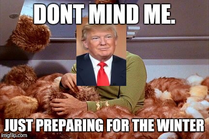 Trump's Hair | DONT MIND ME. JUST PREPARING FOR THE WINTER | image tagged in donald trump's hair ii,donald trump,trump,memes,hair | made w/ Imgflip meme maker
