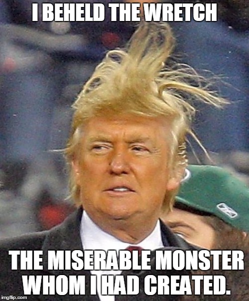 Donald Trumph hair | I BEHELD THE WRETCH; THE MISERABLE MONSTER WHOM I HAD CREATED. | image tagged in donald trumph hair | made w/ Imgflip meme maker