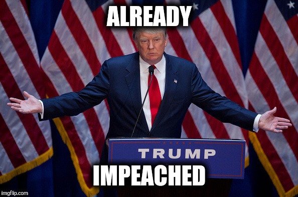 Donald Trump | ALREADY; IMPEACHED | image tagged in donald trump | made w/ Imgflip meme maker