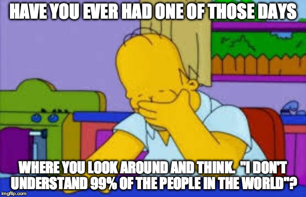 Homer facepalm |  HAVE YOU EVER HAD ONE OF THOSE DAYS; WHERE YOU LOOK AROUND AND THINK.  "I DON'T UNDERSTAND 99% OF THE PEOPLE IN THE WORLD"? | image tagged in homer facepalm | made w/ Imgflip meme maker