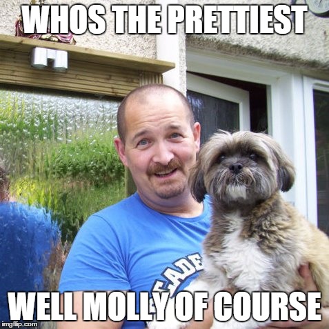 WHOS THE PRETTIEST; WELL MOLLY OF COURSE | image tagged in dogs | made w/ Imgflip meme maker