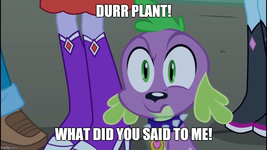 Mlp equestria girls spike da fuk | DURR PLANT! WHAT DID YOU SAID TO ME! | image tagged in mlp equestria girls spike da fuk | made w/ Imgflip meme maker