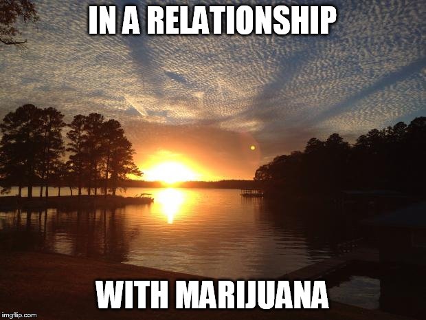 Relationship status | IN A RELATIONSHIP; WITH MARIJUANA | image tagged in relationship status | made w/ Imgflip meme maker