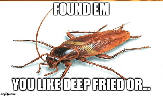 FOUND EM YOU LIKE DEEP FRIED OR... | made w/ Imgflip meme maker
