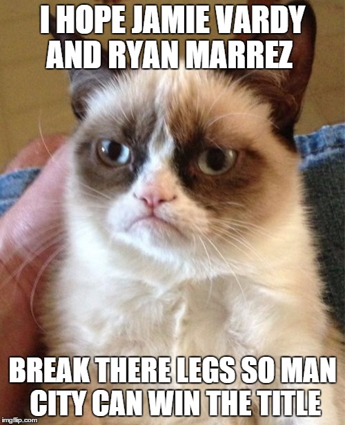 Grumpy Cat Meme | I HOPE JAMIE VARDY AND RYAN MARREZ; BREAK THERE LEGS SO MAN CITY CAN WIN THE TITLE | image tagged in memes,grumpy cat | made w/ Imgflip meme maker