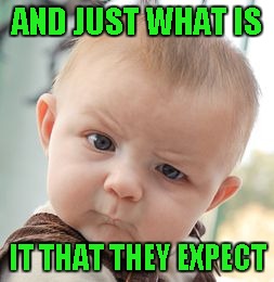 Skeptical Baby Meme | AND JUST WHAT IS IT THAT THEY EXPECT | image tagged in memes,skeptical baby | made w/ Imgflip meme maker