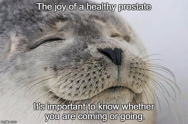 Life's simple pleasures | The joy of a healthy prostate; It's important to know whether you are coming or going. | image tagged in memes,satisfied seal | made w/ Imgflip meme maker