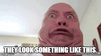 THEY LOOK SOMETHING LIKE THIS. | made w/ Imgflip meme maker