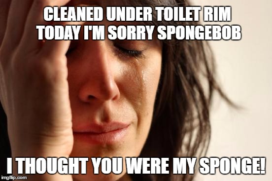 First World Problems Meme | CLEANED UNDER TOILET RIM TODAY
I'M SORRY SPONGEBOB I THOUGHT YOU WERE MY SPONGE! | image tagged in memes,first world problems | made w/ Imgflip meme maker
