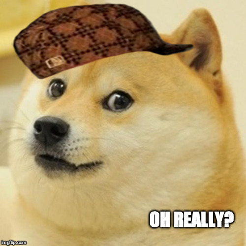 Doge Meme | OH REALLY? | image tagged in memes,doge,scumbag | made w/ Imgflip meme maker