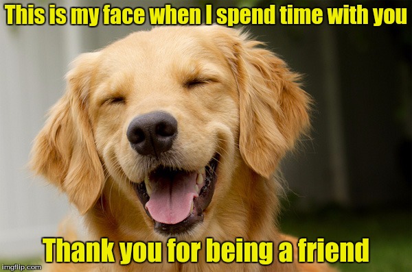 Happy Smile | This is my face when I spend time with you; Thank you for being a friend | image tagged in happy smile | made w/ Imgflip meme maker