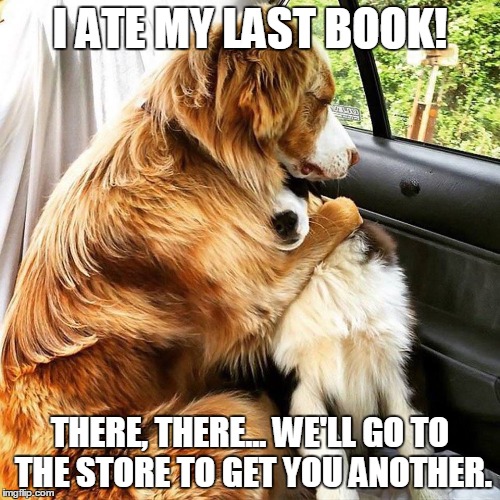 I ATE MY LAST BOOK! THERE, THERE... WE'LL GO TO THE STORE TO GET YOU ANOTHER. | image tagged in dogs,comfort,books | made w/ Imgflip meme maker
