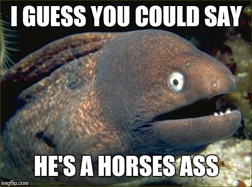 I GUESS YOU COULD SAY HE'S A HORSES ASS | made w/ Imgflip meme maker