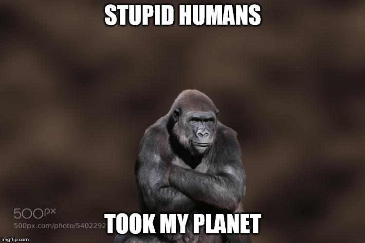 STUPID HUMANS; TOOK MY PLANET | image tagged in grumpy gorilla | made w/ Imgflip meme maker