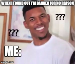 Nick Young | WHEN I FOUND OUT I'M BANNED FOR NO REASON; ME: | image tagged in nick young | made w/ Imgflip meme maker