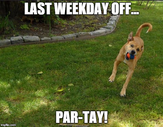 LAST WEEKDAY OFF... PAR-TAY! | image tagged in playtime | made w/ Imgflip meme maker
