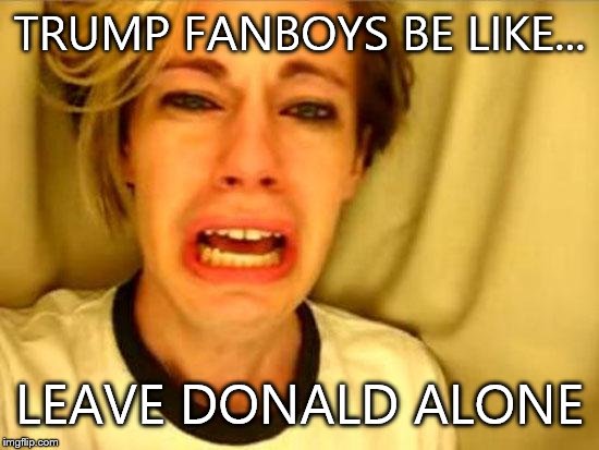 Leave Britney Alone | TRUMP FANBOYS BE LIKE... LEAVE DONALD ALONE | image tagged in leave britney alone | made w/ Imgflip meme maker