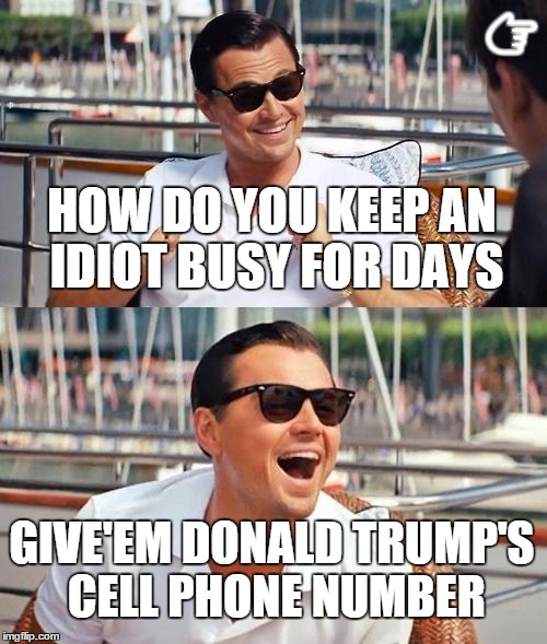 917-756-8000 | 👉; HOW DO YOU KEEP AN IDIOT BUSY FOR DAYS; GIVE'EM DONALD TRUMP'S CELL PHONE NUMBER | image tagged in memes,leonardo dicaprio wolf of wall street | made w/ Imgflip meme maker