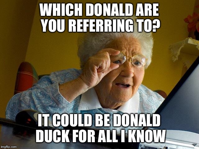 Grandma Finds The Internet Meme | WHICH DONALD ARE YOU REFERRING TO? IT COULD BE DONALD DUCK FOR ALL I KNOW | image tagged in memes,grandma finds the internet | made w/ Imgflip meme maker