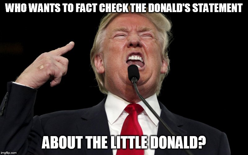 donald little donald | WHO WANTS TO FACT CHECK THE DONALD'S STATEMENT; ABOUT THE LITTLE DONALD? | image tagged in donald trump | made w/ Imgflip meme maker