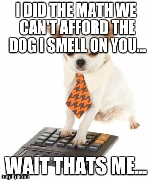 puppy | I DID THE MATH WE CAN'T AFFORD THE DOG I SMELL ON YOU... WAIT THATS ME... | image tagged in puppy | made w/ Imgflip meme maker