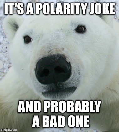 IT'S A POLARITY JOKE AND PROBABLY A BAD ONE | made w/ Imgflip meme maker