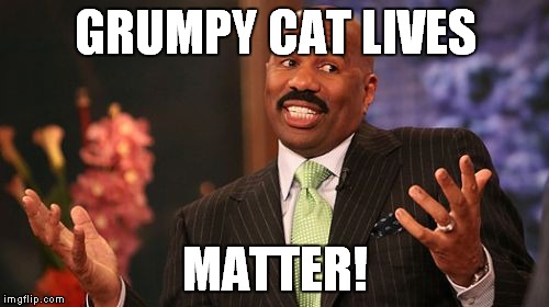 GRUMPY CAT LIVES MATTER! | image tagged in memes,steve harvey | made w/ Imgflip meme maker